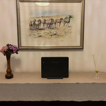 Accogliente Apartamento